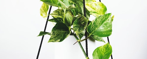 英格兰足球超级联赛英超标志及比赛场景